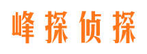 桥东侦探公司